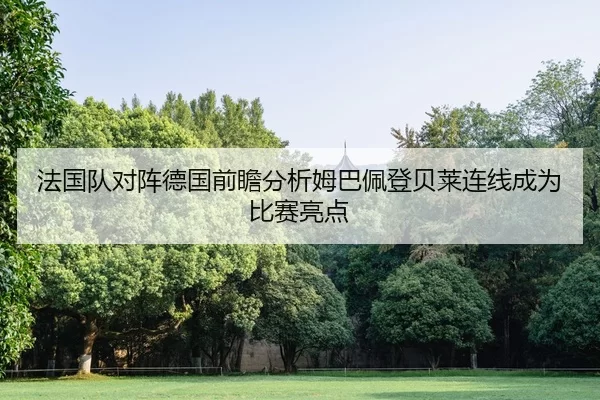 法国队对阵德国前瞻分析姆巴佩登贝莱连线成为比赛亮点