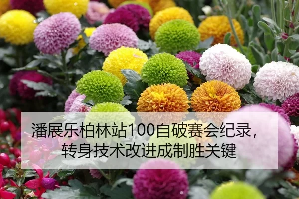 潘展乐柏林站100自破赛会纪录，转身技术改进成制胜关键