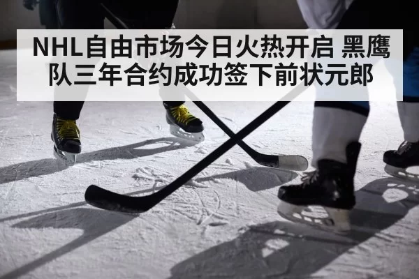 NHL自由市场今日火热开启 黑鹰队三年合约成功签下前状元郎